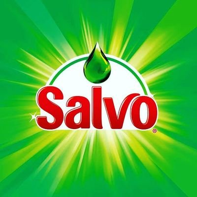 Salvo Logo